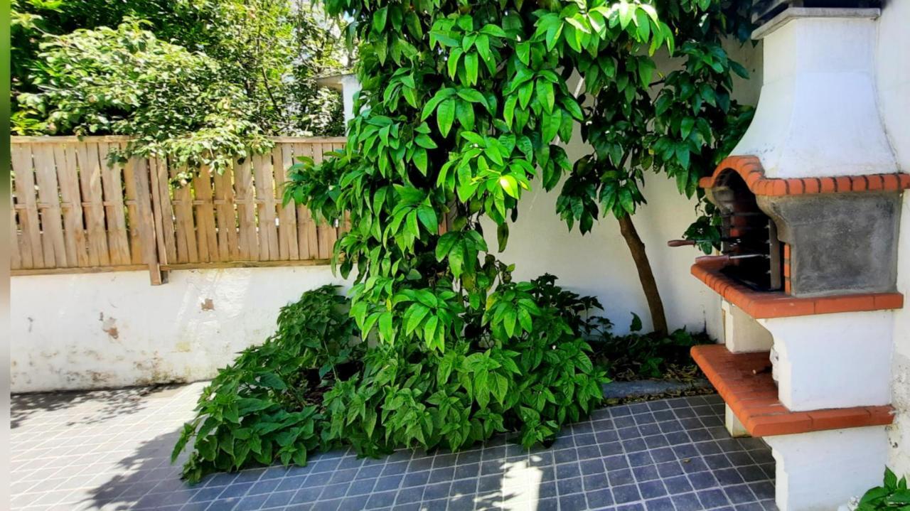 Casa do Compadre - Casas de Taipa São Pedro do Corval Exterior foto